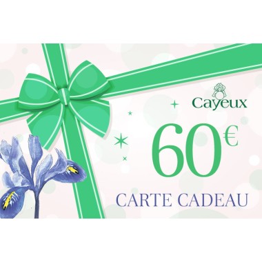 carta-regalo-60